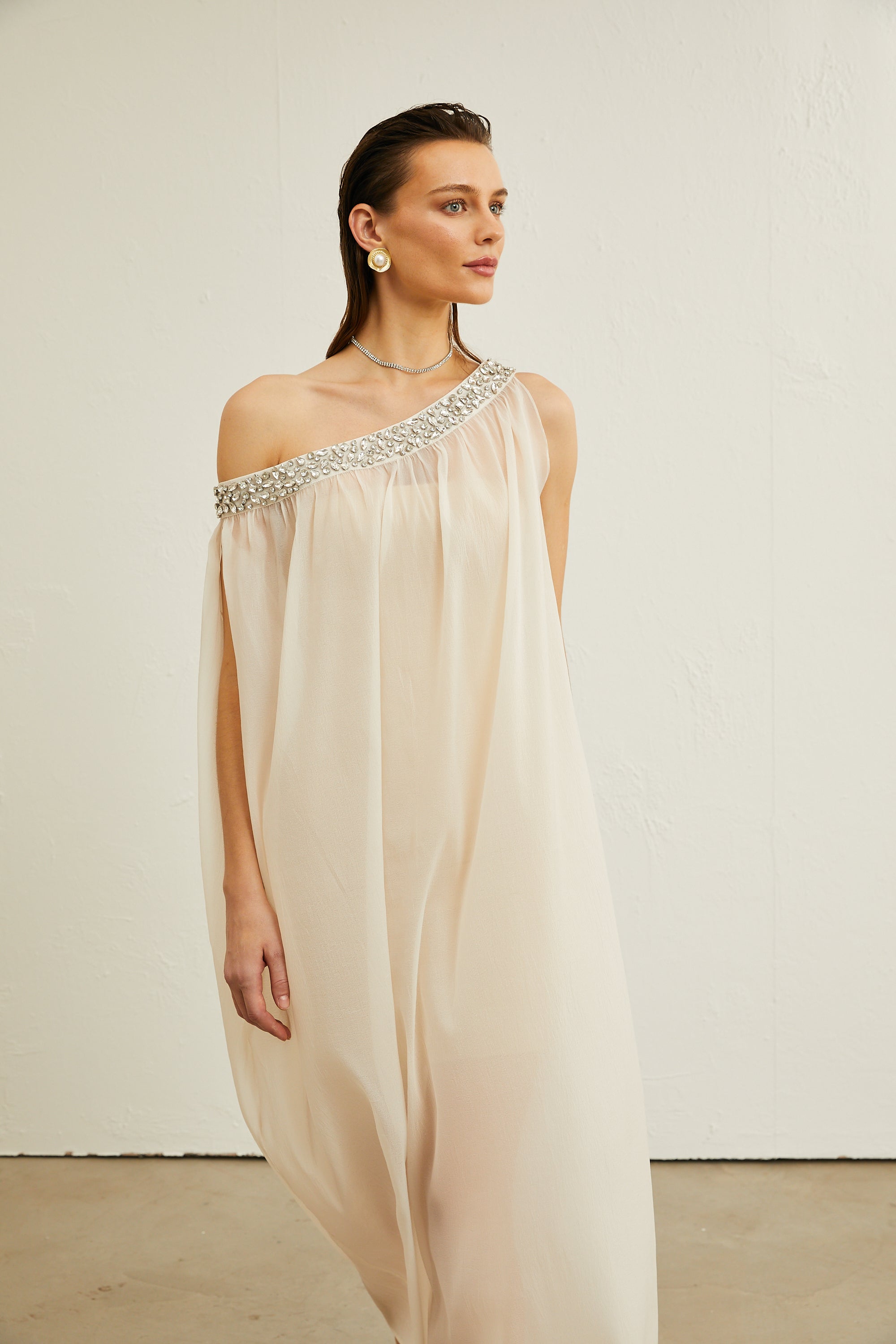 Austen kristal midi elbise