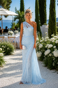 Melisande Tek Omuz Maxi Elbise